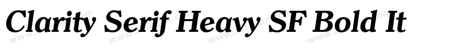 Clarity Serif Heavy SF Bold Italic字体转换